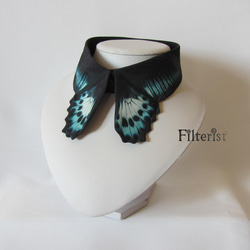 蝶々付け衿:テンジクアゲハ 1枚目の画像