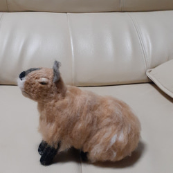 羊毛フェルト　カピバラちゃん　動物のオーダー受け付けてます 2枚目の画像