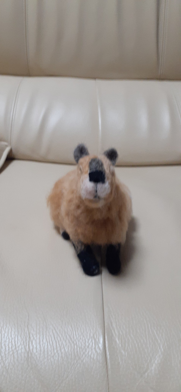 羊毛フェルト　カピバラちゃん　動物のオーダー受け付けてます 6枚目の画像