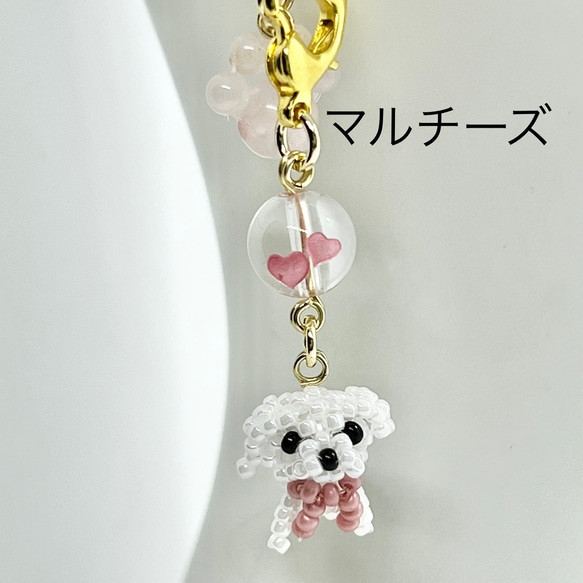 トイプードル、マルチーズ ストラップ 肉球チャーム
