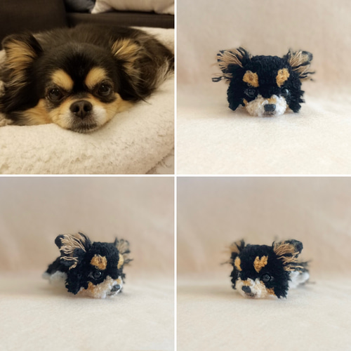 子犬たちの思い出の時パネル ポメラニアン、ダックス、トイプー