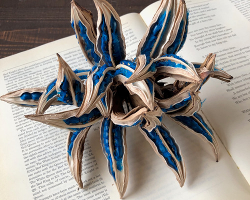 タビビトノキ 種子の宝石 8個咲き 特大美品 不思議な木の実シリーズ