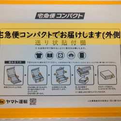 漆喰アート　M03無地ランボク　 9枚目の画像