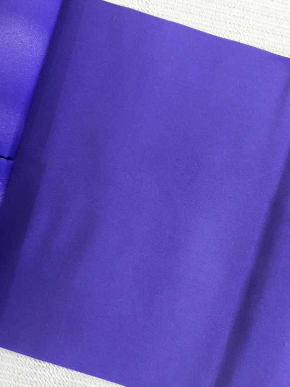 【ワケありな逸品2023】アンティークフルーツの名古屋帯　青紫色　手描き友禅 9枚目の画像