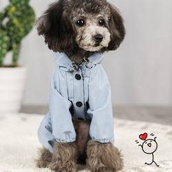 犬服 可愛い ペットウェア 犬ウェア 四季着用可能 防寒 犬コート 防雨 雨着 1枚目の画像