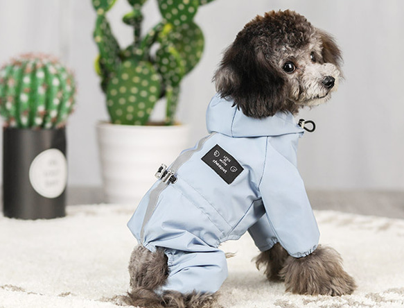 犬服 可愛い ペットウェア 犬ウェア 四季着用可能 防寒 犬コート 防雨 雨着 3枚目の画像