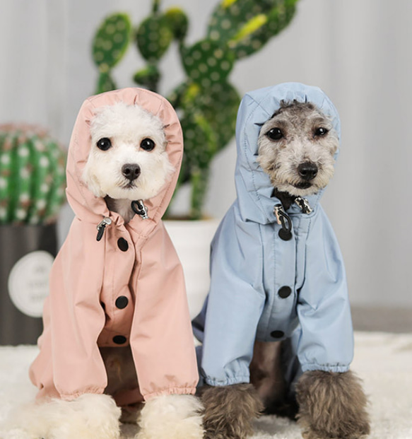 犬服 可愛い ペットウェア 犬ウェア 四季着用可能 防寒 犬コート 防雨 雨着 4枚目の画像