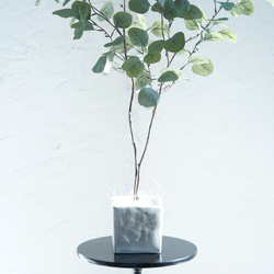 自分好みの樹形に　ユーカリのコンクリートポット（アーティフィシャルグリーン観葉植物） 4枚目の画像