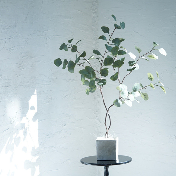 自分好みの樹形に　ユーカリのコンクリートポット（アーティフィシャルグリーン観葉植物） 3枚目の画像
