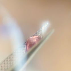  第9張的照片