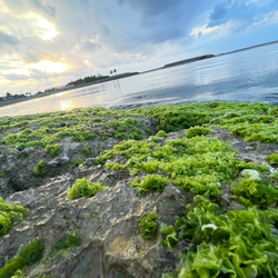 sea【2022.march④】 3枚目の画像