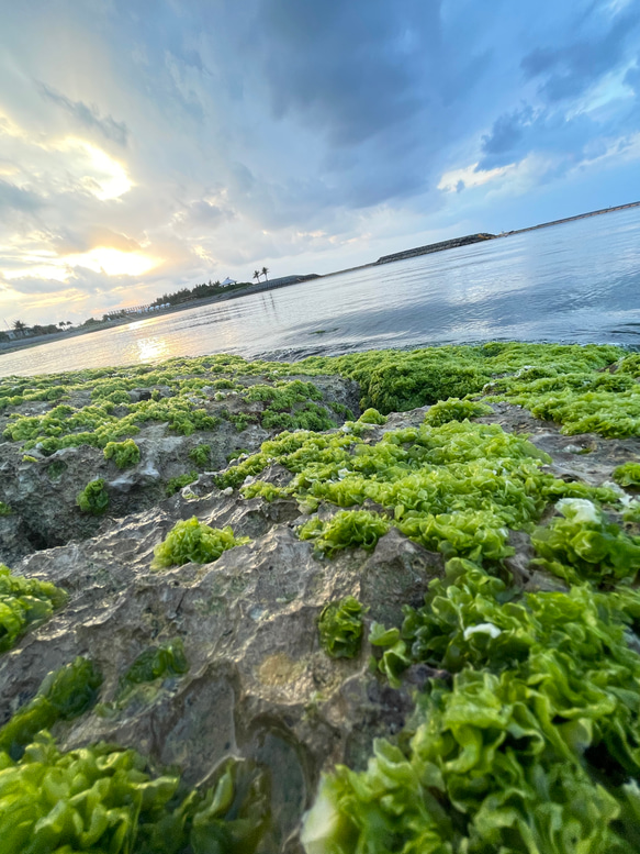 sea【2022.march④】 3枚目の画像