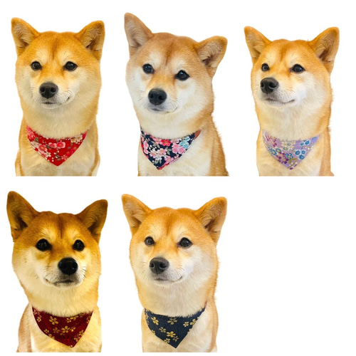和柄 首輪 バンダナ ネックレス 柴犬 S M L レザー ペット用品 和柄 首輪 バンダナ ネックレス 柴犬 S M L レザー ペット用品