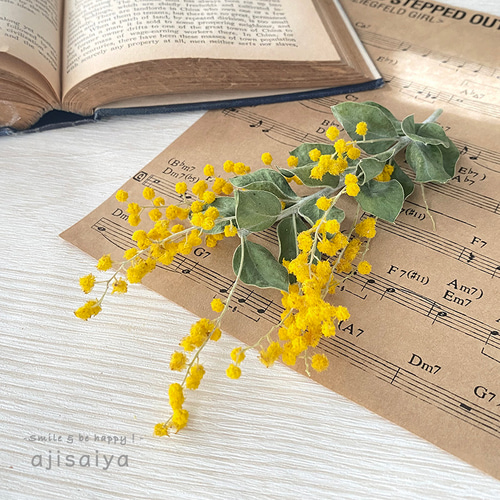 真珠葉アカシア ミモザ ショート：国産 ＜2026年1月入荷分＞ ドライ