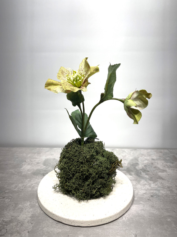 フェイク クリスマスローズ苔玉アレンジ アートフラワー planterna