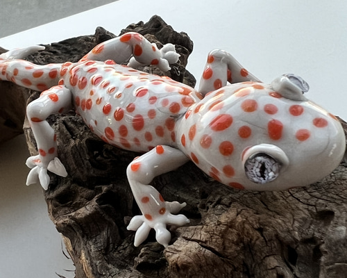 6bb2d94ea2d9d61bf43af2008a979f