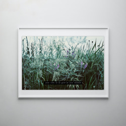 写真・アートポスター life-mindset / 植物 草原 花 自然 風景 ヨーロッパ 写真 英語 スタイリッシュ 5枚目の画像