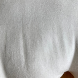 ダブルガーゼ みつばさクッション 6枚目の画像