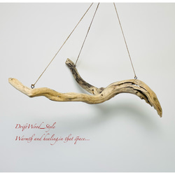 流木インテリア 3方向に伸びる枝が魅力のハンガーラック 北欧 衣装掛け ハンギング 吊り下げ エアプラント 癒し 6枚目の画像