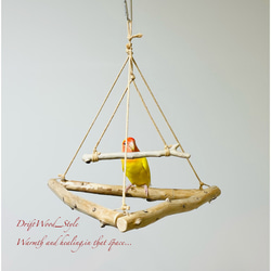 流木インテリア  シンプルな天然流木の小鳥の止まり木 吊り下げタイプ インコ 鳥 ブランコ 自然木 No.2 8枚目の画像