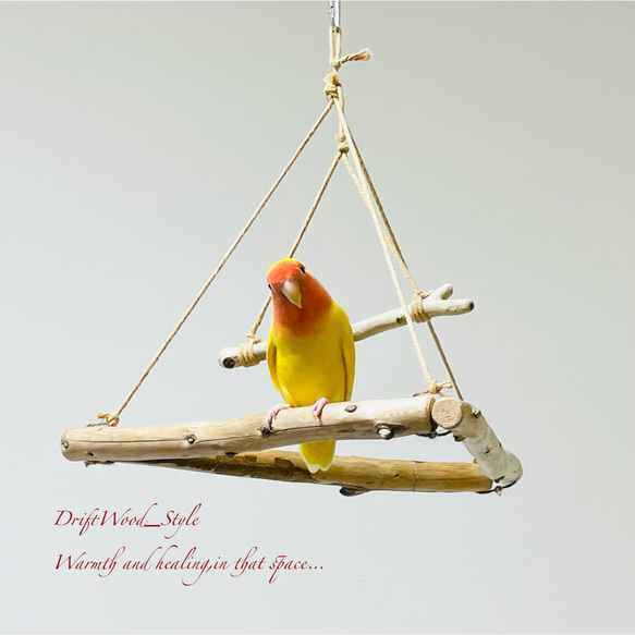 流木インテリア  シンプルな天然流木の小鳥の止まり木 吊り下げタイプ インコ 鳥 ブランコ 自然木 No.2 4枚目の画像