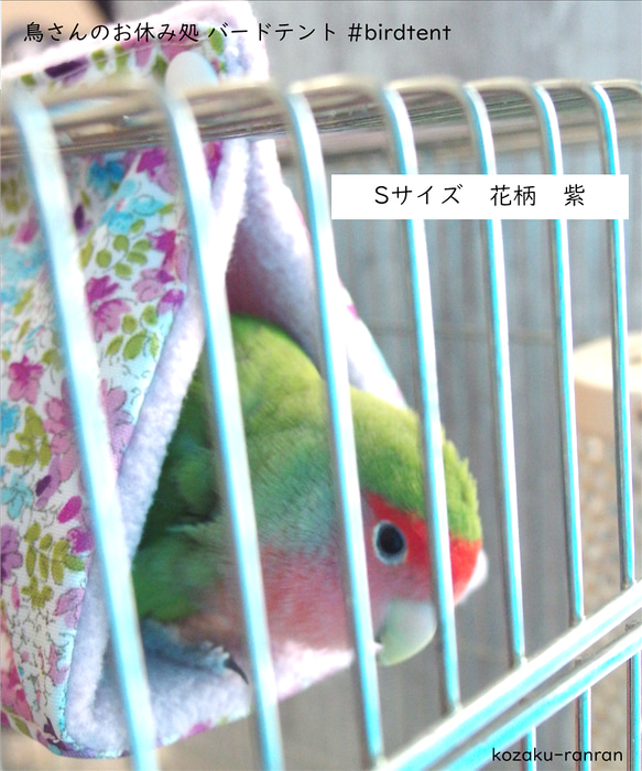 再販【バードテント️】Sサイズ　インコ　鳥 6枚目の画像