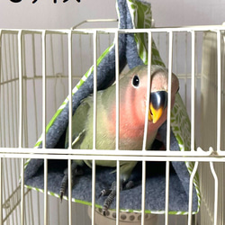 再販【バードテント️】Sサイズ　インコ　鳥 8枚目の画像