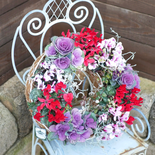 sale 心に寄り添う 寄せ植え 豪華 最高峰のガーデンシクラメン ミニ