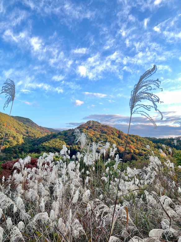 mountain【2022.november①】 3枚目の画像