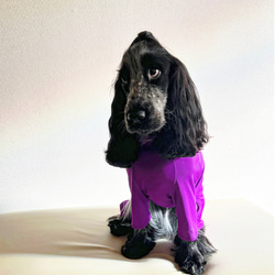 新作‼️ネイビー追加❗️中型犬ボディースーツ　UVカット　オールシーズン使える　ネオンカラー6色　　 10枚目の画像