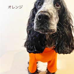 新作‼️ネイビー追加❗️中型犬ボディースーツ　UVカット　オールシーズン使える　ネオンカラー6色　　 7枚目の画像