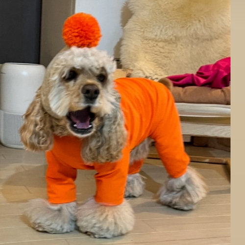 犬服　キャミ　ロンパース　水色　ハンドメイド　オーダー 3e6324ca82c96bc619f0281dc5a74a