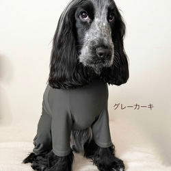 新作‼️ネイビー追加❗️中型犬ボディースーツ　UVカット　オールシーズン使える　ネオンカラー6色　　 5枚目の画像