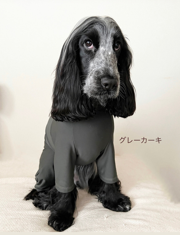 新作‼️ネイビー追加❗️中型犬ボディースーツ　UVカット　オールシーズン使える　ネオンカラー6色　　 5枚目の画像