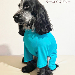 新作‼️ネイビー追加❗️中型犬ボディースーツ　UVカット　オールシーズン使える　ネオンカラー6色　　 6枚目の画像