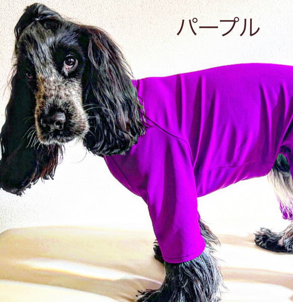 新作‼️ネイビー追加❗️中型犬ボディースーツ　UVカット　オールシーズン使える　ネオンカラー6色　　 9枚目の画像
