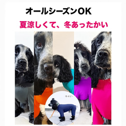 可愛さ爆誕❤️ネオンカラー【犬用ロンパース】UVカット＆オール