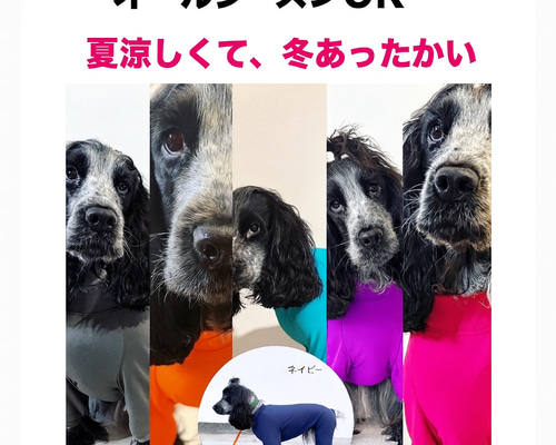 可愛さ爆誕❤️ネオンカラー【犬用ロンパース】UVカット＆オール