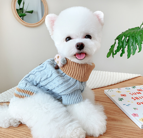 犬服　♡ラブリー♡　ハンドメイド 型紙 犬服 シャツ型いーちゃん服 MD-003-D | 生地のM 〜ハンドメイド