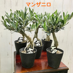 a6bde738f7a59bc0ec520f1a999e77