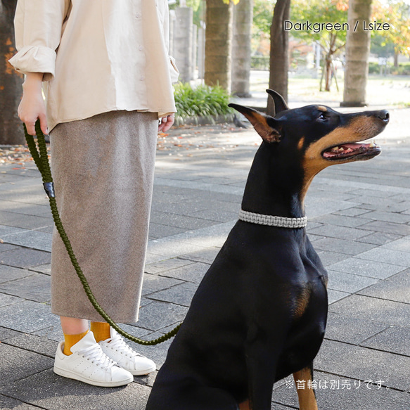 14×2色　リード　手編みでつくるパラコード　中型犬　大型犬　小型犬　わんちゃん　パラコード（大）#mm00000298 2枚目の画像