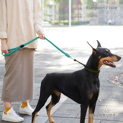 14×2色　リード　手編みでつくるパラコード　中型犬　大型犬　小型犬　わんちゃん　パラコード（大）#mm00000298 3枚目の画像