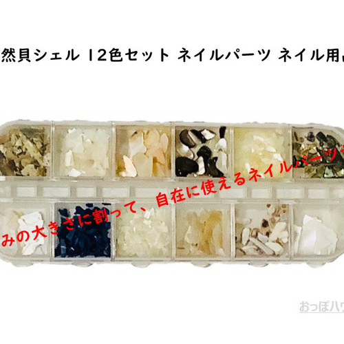 ジェルネイル 天然貝シェル 12色セット ネイルパーツ ネイル用品 