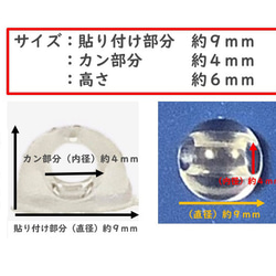  第2張的照片