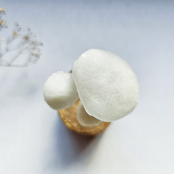  第7張的照片