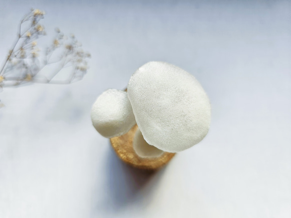  第7張的照片