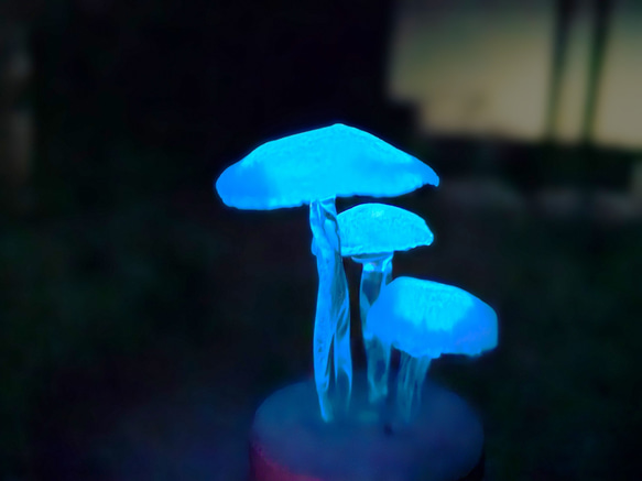  第2張的照片