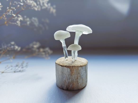 第5張的照片