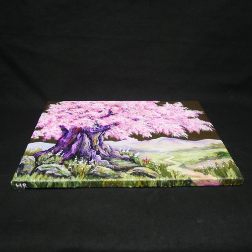 千年の桜」油彩画（F4号 ※サイズ）｜重厚な筆致で描く桜の原画 絵画
