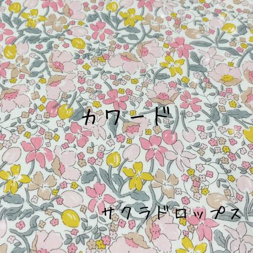 ラミネート生地見本◡̈⋆3⃣ ポーチ 𝑚'𝑒 𝑠𝑚𝑖𝑙𝑒 通販 15176165